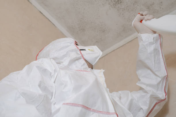 Best Preventive Mold Services in Washoe Valley, NV
